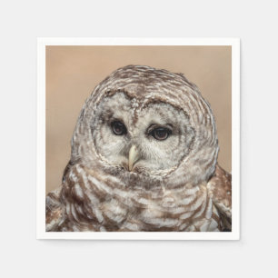 Barred Owl in flight Napkin
