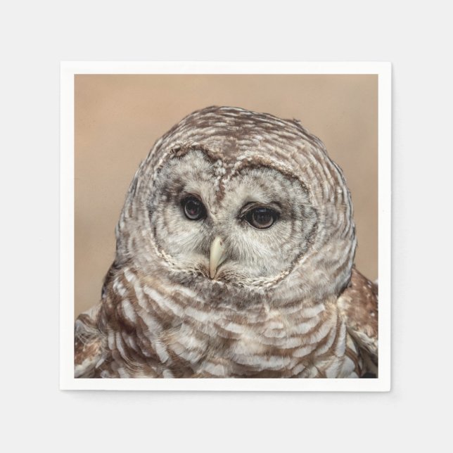 Barred Owl in flight Napkin (Front)