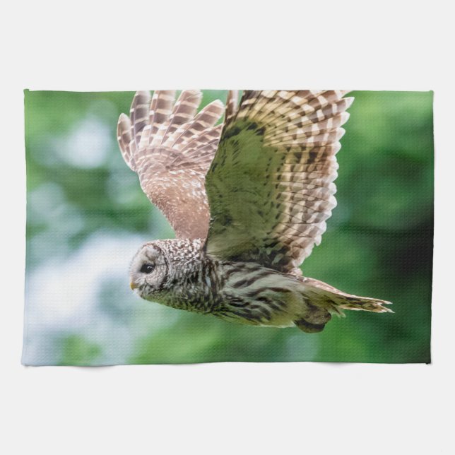 Barred Owl in flight Tea Towel (Horizontal)