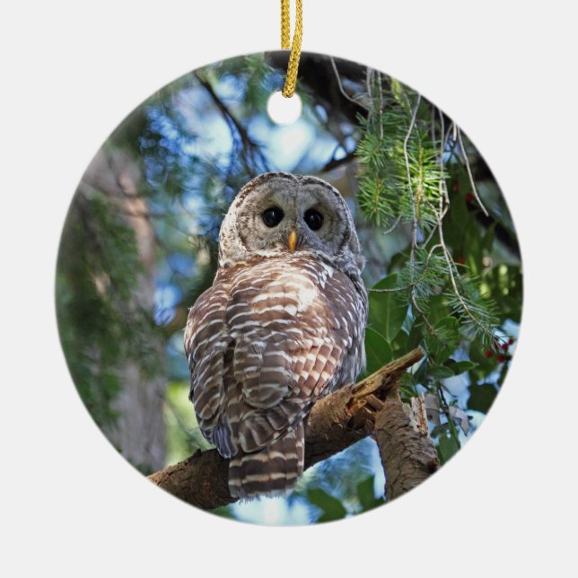 Barred Owl in the Forest Ceramic Tree Decoration (Front)
