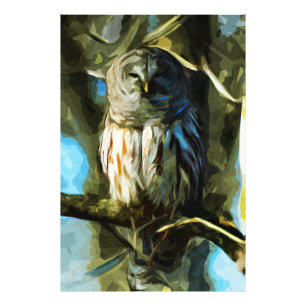 Barred Owl in Tree Abstract Impressionism Photo Print