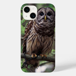 Barred Owl iPhone 14 Case
