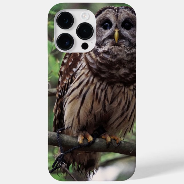 Barred Owl iPhone 14 Pro Max Case (Back)