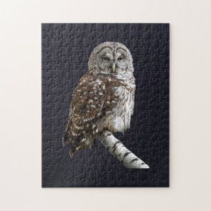 Barred Owl Jigsaw Puzzle