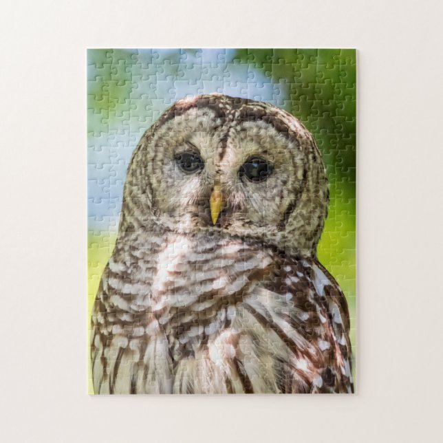 Barred Owl Jigsaw Puzzle (Vertical)