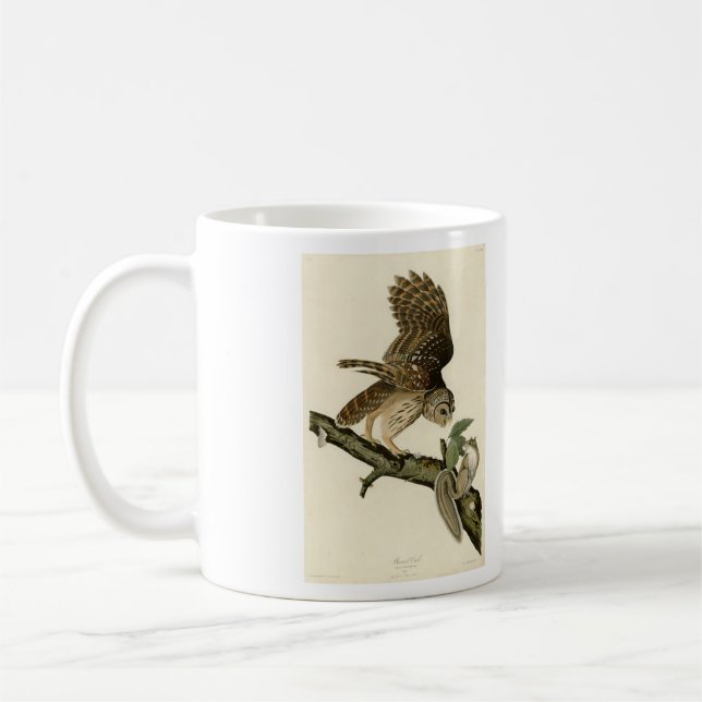 Barred Owl, John James Audubon's Birds of America Coffee Mug (Left)