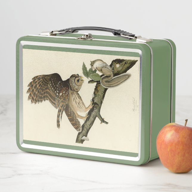 Barred Owl, John James Audubon's Birds of America Metal Lunch Box (In Situ)