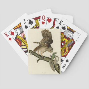 Barred Owl, John James Audubon's Birds of America Playing Cards