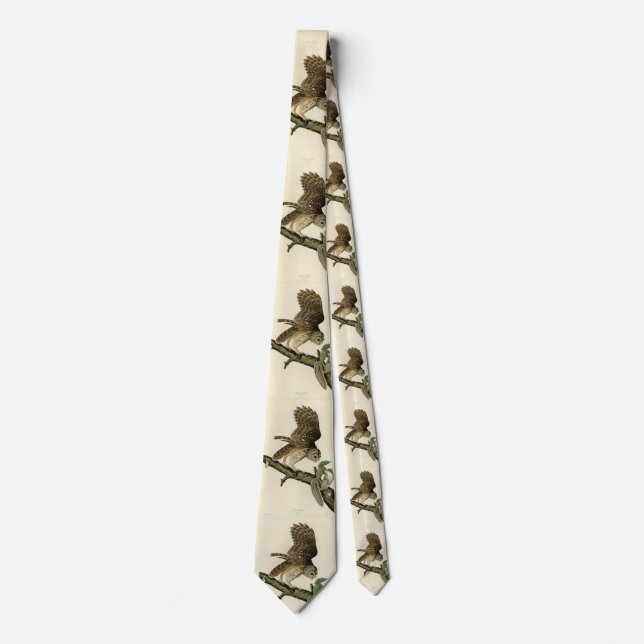 Barred Owl, John James Audubon's Birds of America Tie (Front)
