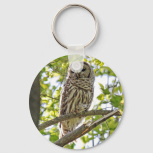 Barred Owl Key Ring