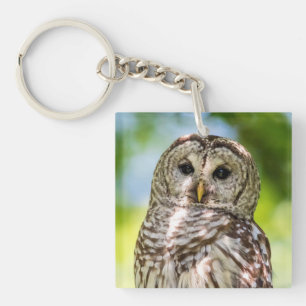 Barred Owl Key Ring