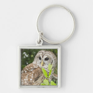 Barred Owl Key Ring