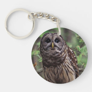 Barred Owl Key Ring
