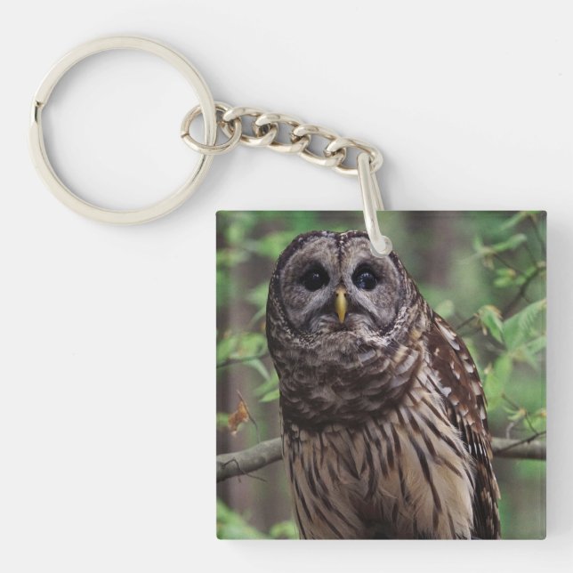 Barred Owl Key Ring (Front)