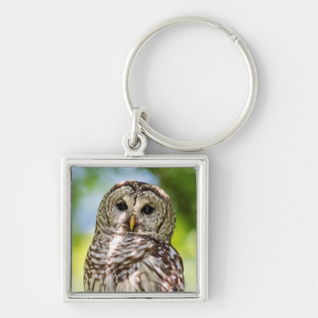 Barred Owl Key Ring (Front)