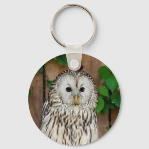 Barred Owl Key Ring