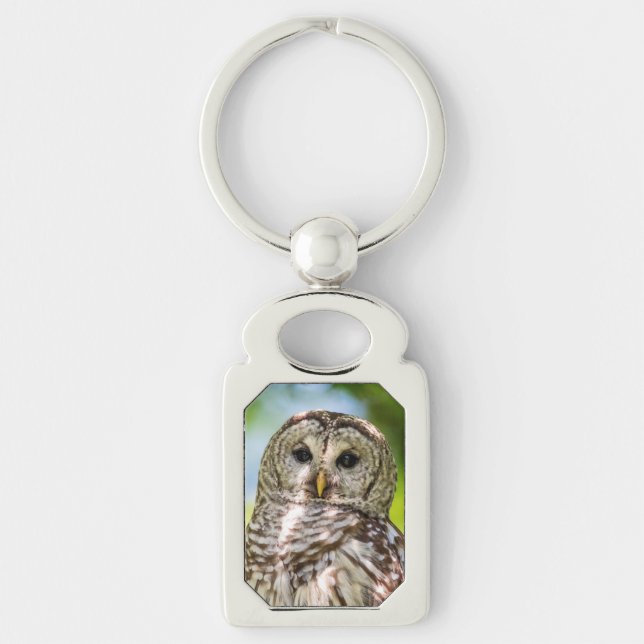 Barred Owl Key Ring (Front)
