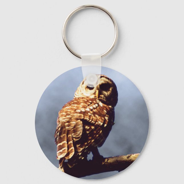 Barred Owl Keychain (Front)