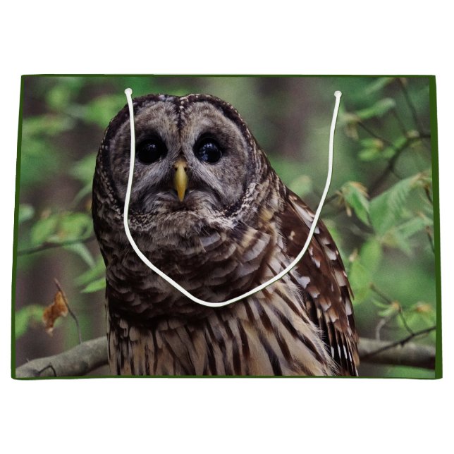 Barred Owl Large Gift Bag (Front)