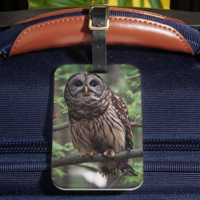 Barred Owl Luggage Tag (Front Insitu 2)