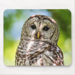 Barred Owl Mouse Mat