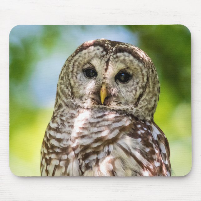 Barred Owl Mouse Mat (Front)