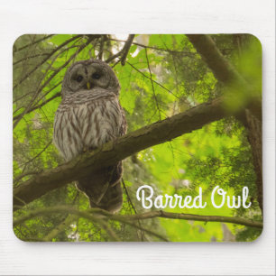 Barred Owl Mouse Mat