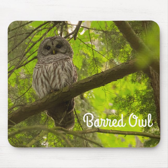 Barred Owl Mouse Mat (Front)