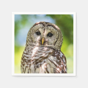 Barred Owl Napkin