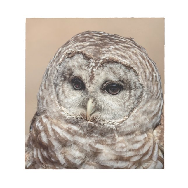 Barred Owl Notepad (Front)