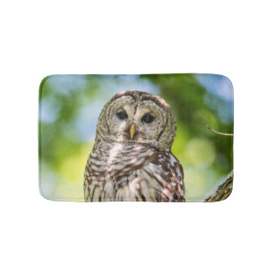 Barred Owl of the Hudson Valley – Nature & Wildlif Bath Mat