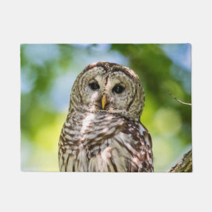 Barred Owl of the Hudson Valley – Nature & Wildlif Doormat