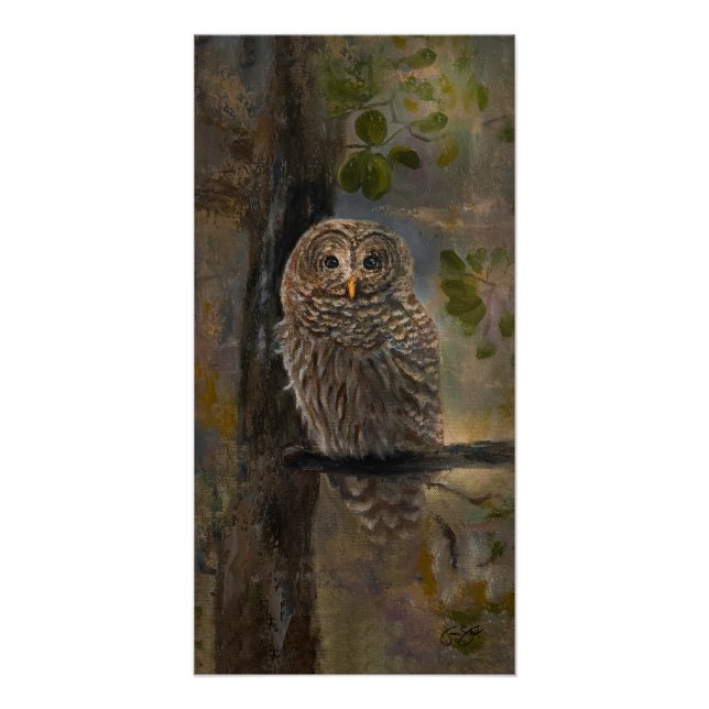 Barred Owl Painting 14 x 28 Poster (Front)