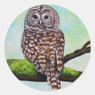 Barred Owl Painting Classic Round Sticker
