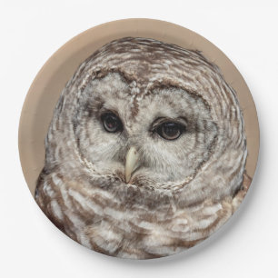 Barred Owl Paper Plate