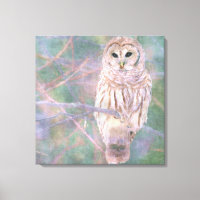 Barred Owl Pastel Oilpainting