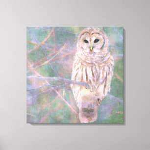 Barred Owl Pastel Oilpainting Canvas Print