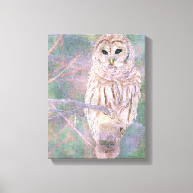 Barred Owl Pastel Oilpainting Canvas Print (Front)