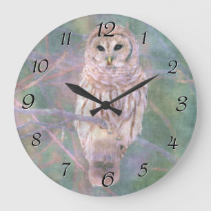 Barred Owl Pastel Oilpainting Large Clock