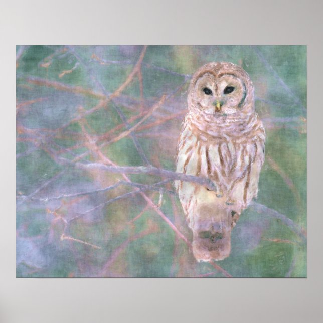 Barred Owl Pastel Oilpainting Poster (Front)