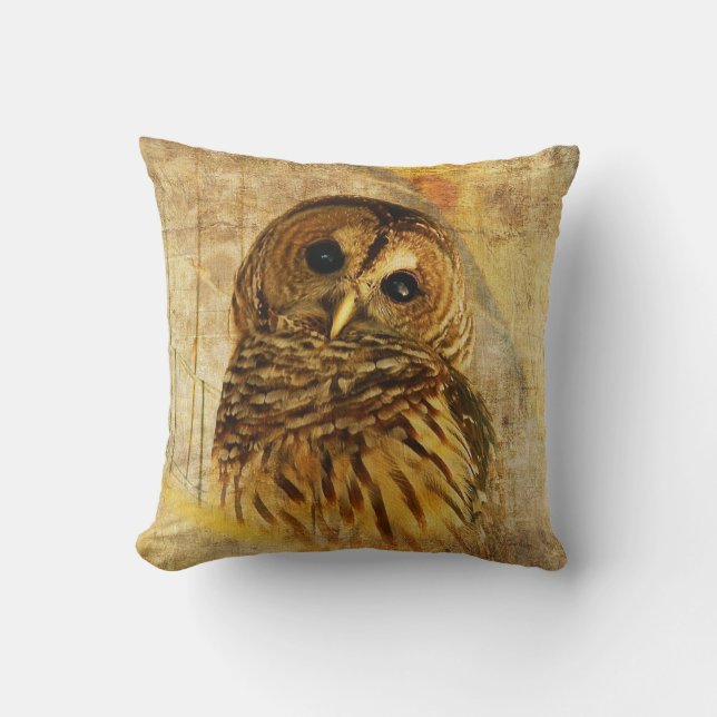 Barred Owl Pillow by Lois Bryan (Front)