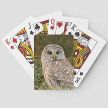 Barred Owl Playing Cards