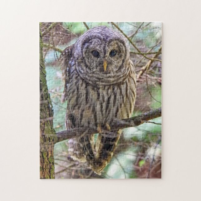 Barred Owl Puzzle (Vertical)