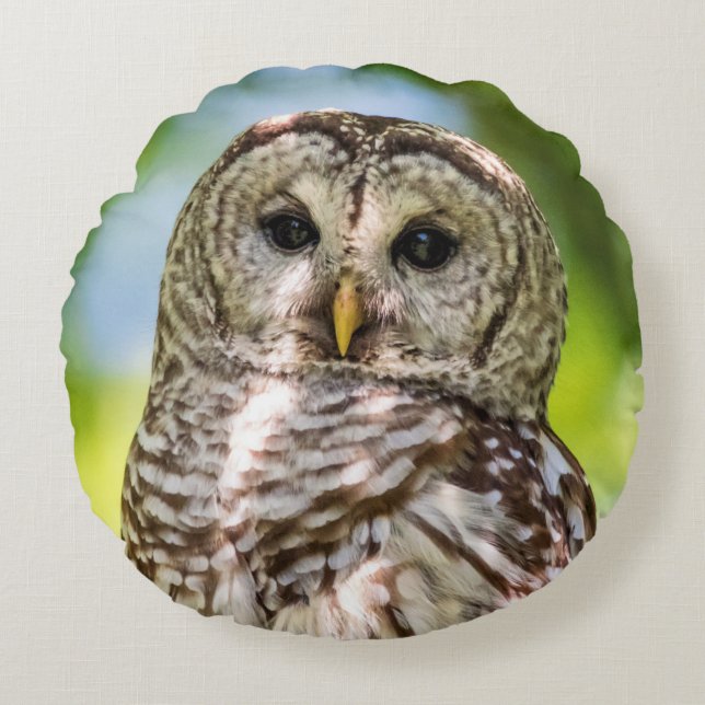 Barred Owl Round Cushion (Front)