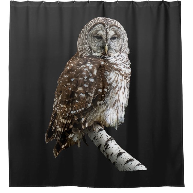 Barred Owl Shower Curtain (Front)
