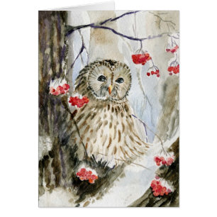 Barred owl snow winter