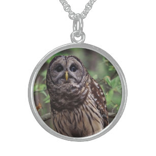 Barred Owl Sterling Silver Necklace