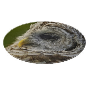 Barred Owl, Strix varia, Michigan Cutting Board