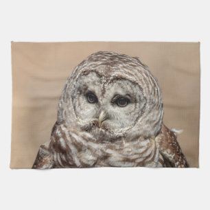 Barred Owl Tea Towel