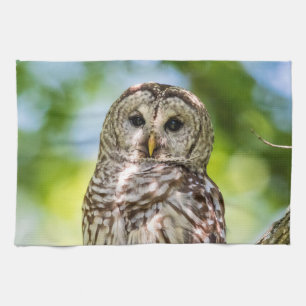 Barred Owl Tea Towel